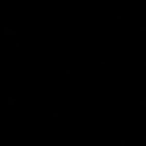 Meet your Posher, Lizbeth